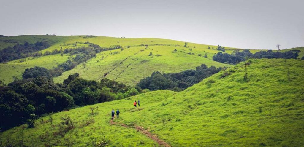 Kodachadri treak|homeoftravels