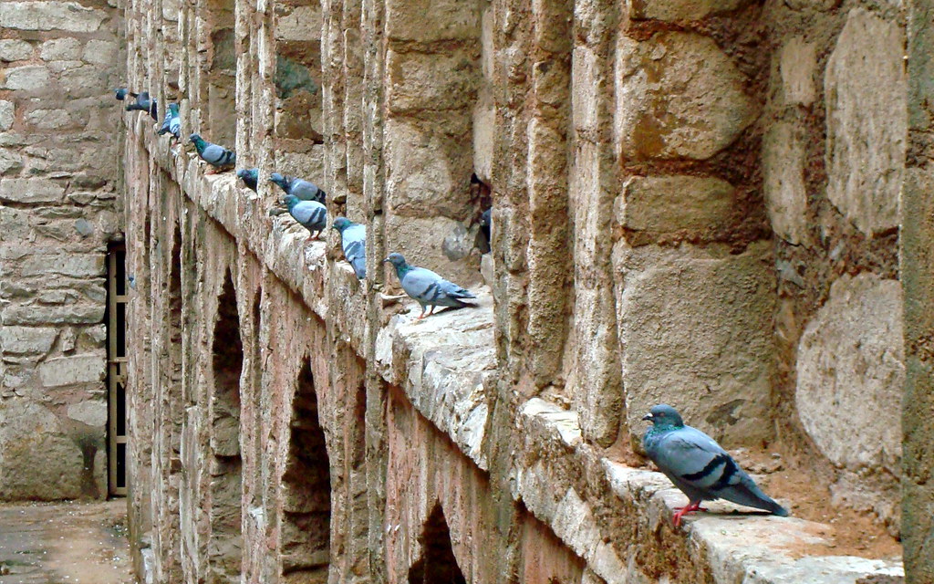 agrasen ki baoli |homeoftravels