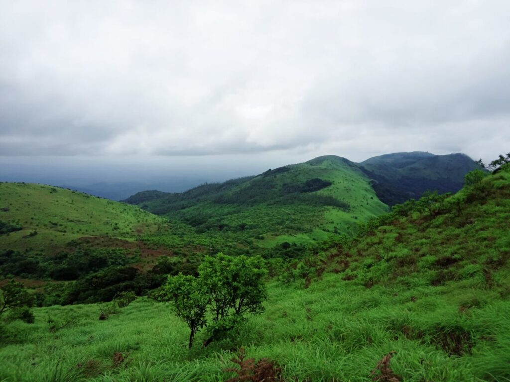 https://homeoftravels.com/trekking-places-near-bangalore/